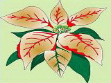 Main logo